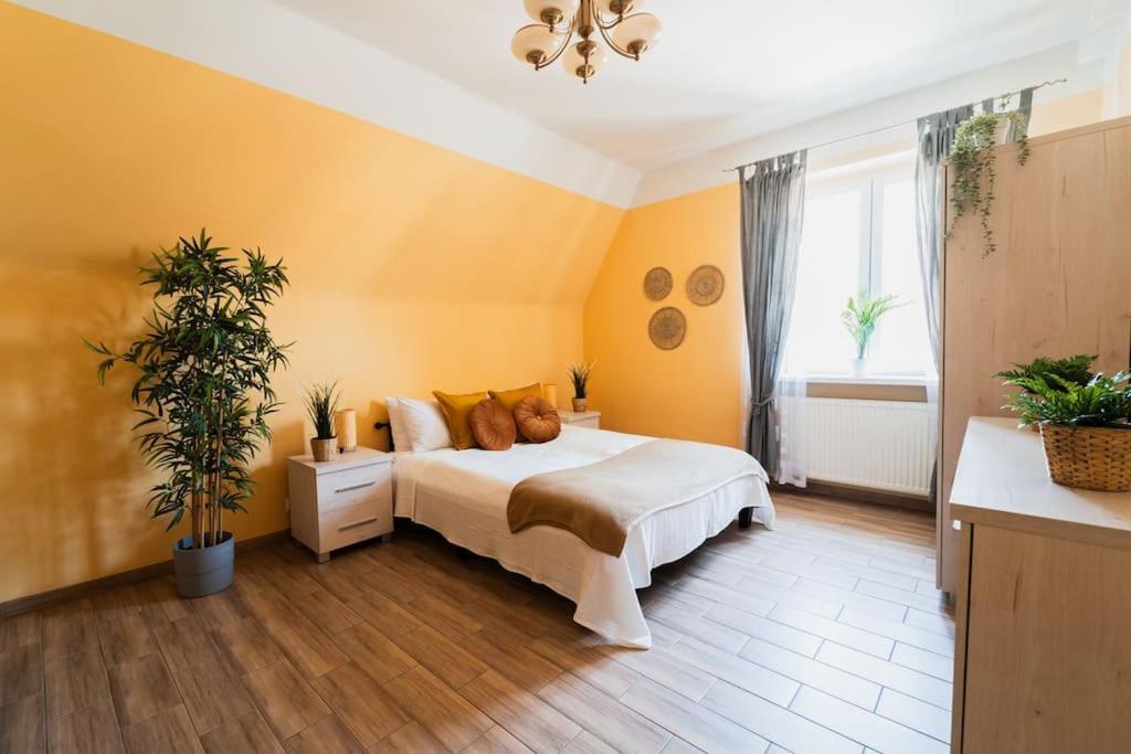 Market Square - Street Rynek 24 -2 Rooms فروتسواف المظهر الخارجي الصورة